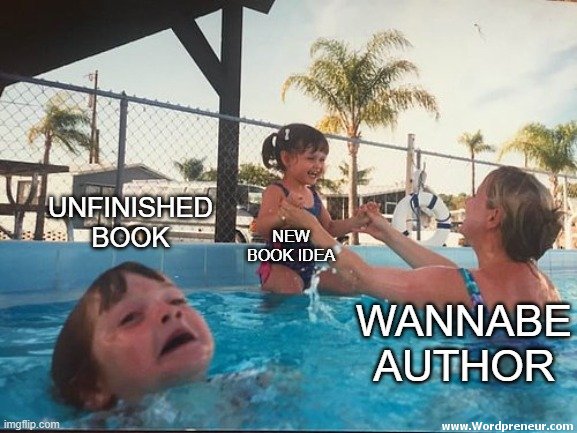 meme author discipline